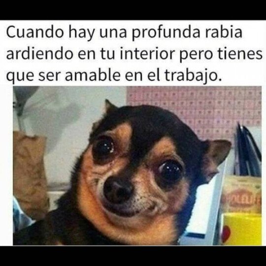 Meme_otros - Y es que si no aguantas te vas a la cola del paro