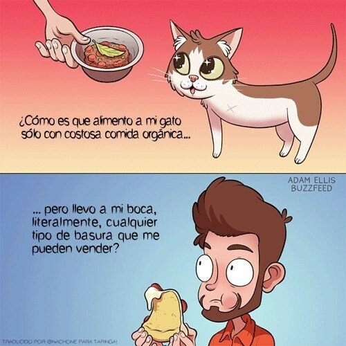 Otros - Cuidamos mejor a nuestras mascotas que a nosotros mismos