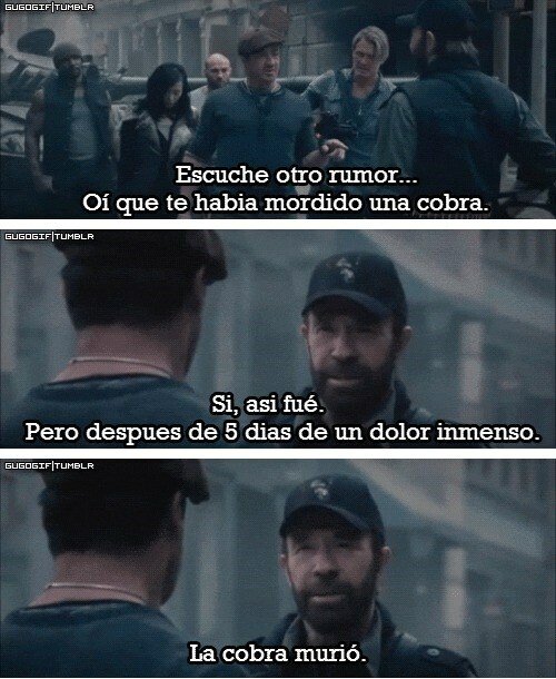 Meme_otros - Y es que nadie ose cruzarse con Chuck Norris