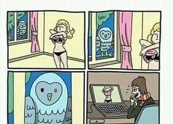 Enlace a Ese búho es todo un loquillo