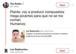 Enlace a Los humanos siempre jugando a ser dioses
