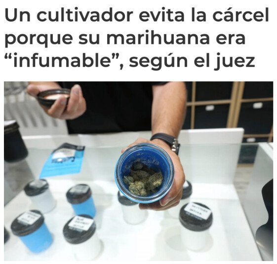 Meme_otros - Me gustaría saber como llegó a saberlo