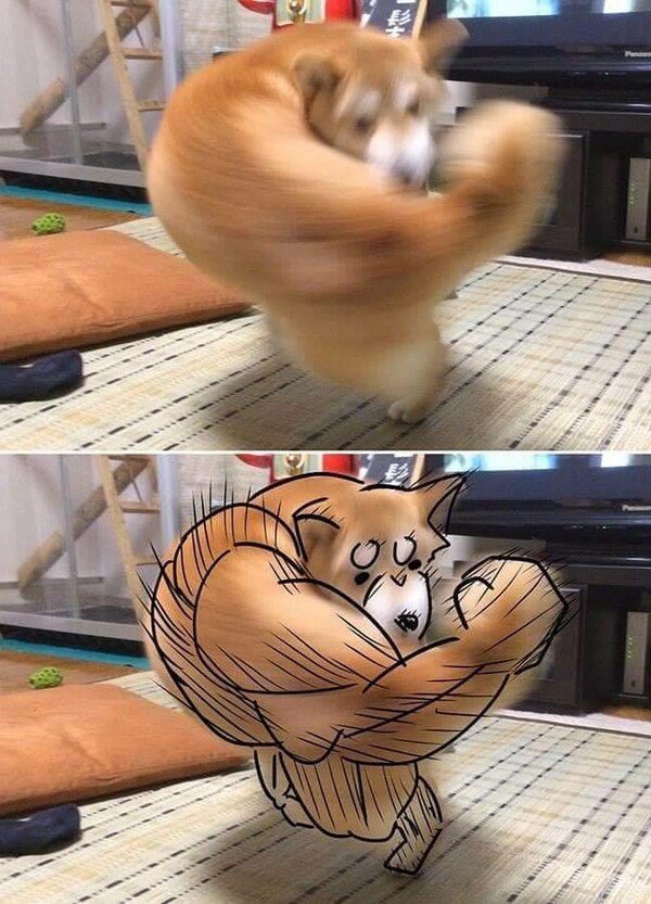 Meme_otros - Lo que tú ves frente a lo que ve un artista