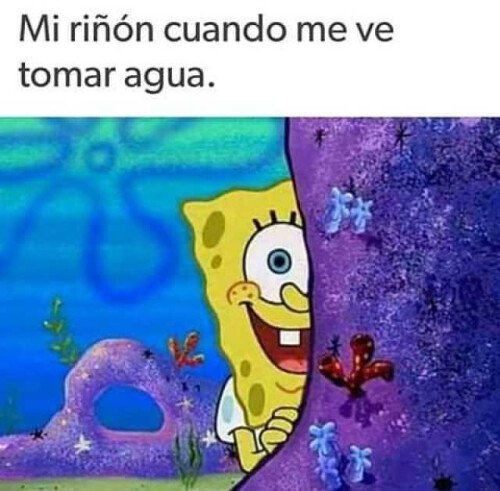 Meme_otros - Ya era hora de verte por aquí