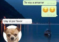 Enlace a Los stickers sirven bastante bien para representar bien tus reacciones