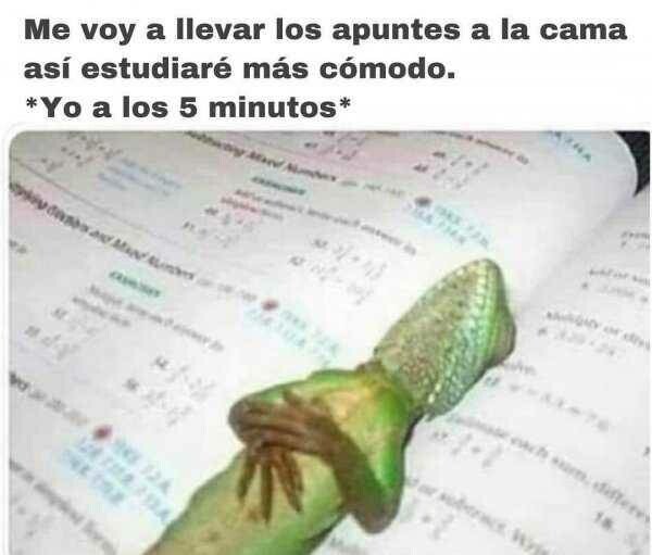 Meme_otros - Son bastante cómodos los apuntes