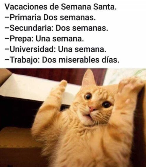 Meme_otros - Así empeora la vida en Semana Santa