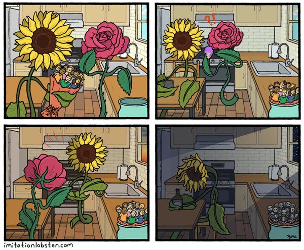 Otros - La vida de un girasol es muy triste