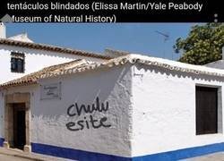 Enlace a Ese maldito existió realmente