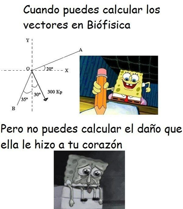 Meme_otros - Distintos tipos de dolor