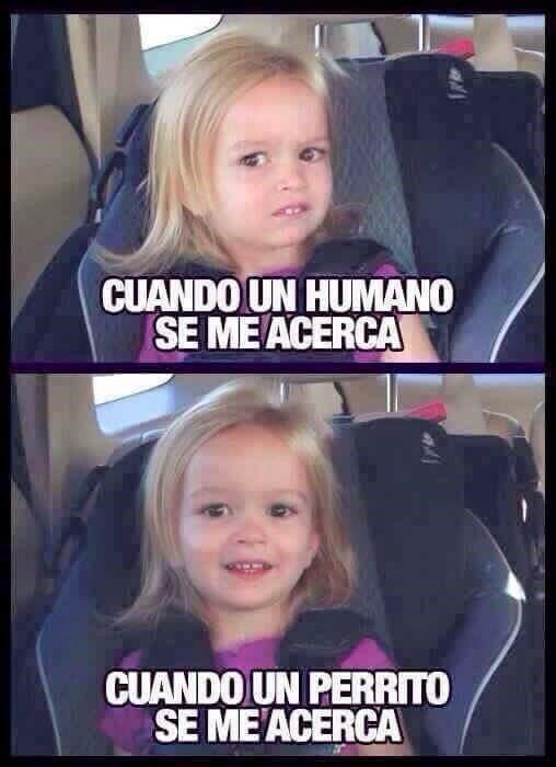Meme_otros - Diferentes tipos de reacciones