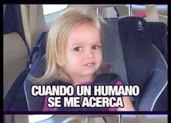 Enlace a Diferentes tipos de reacciones