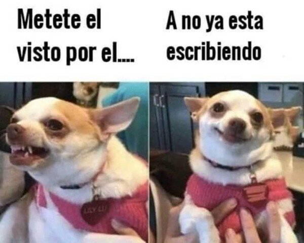 Meme_otros - Las prisas para que te escriban son malas