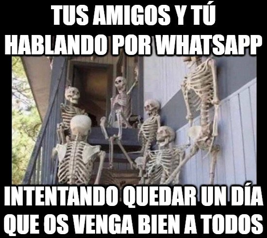 Meme_otros - La difícil tarea de quedar un día con todos tus amigos y que puedan todos...