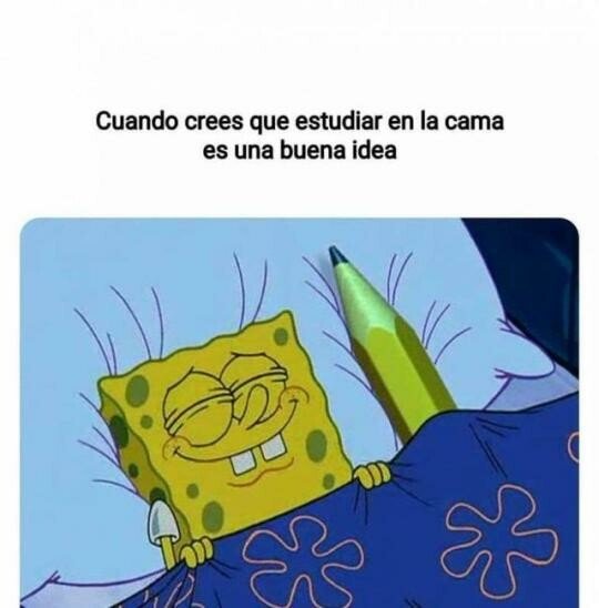 Meme_otros - Un plan que nunca sale bien