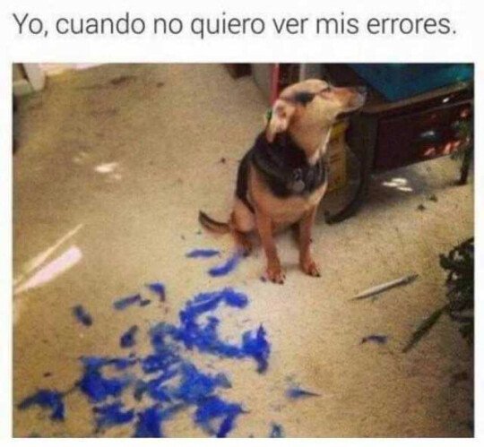 Meme_otros - Los errores que he cometido y no quiero aceptar