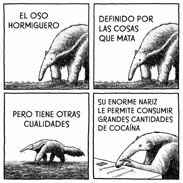 Otros - Las grandes cualidades del oso hormiguero