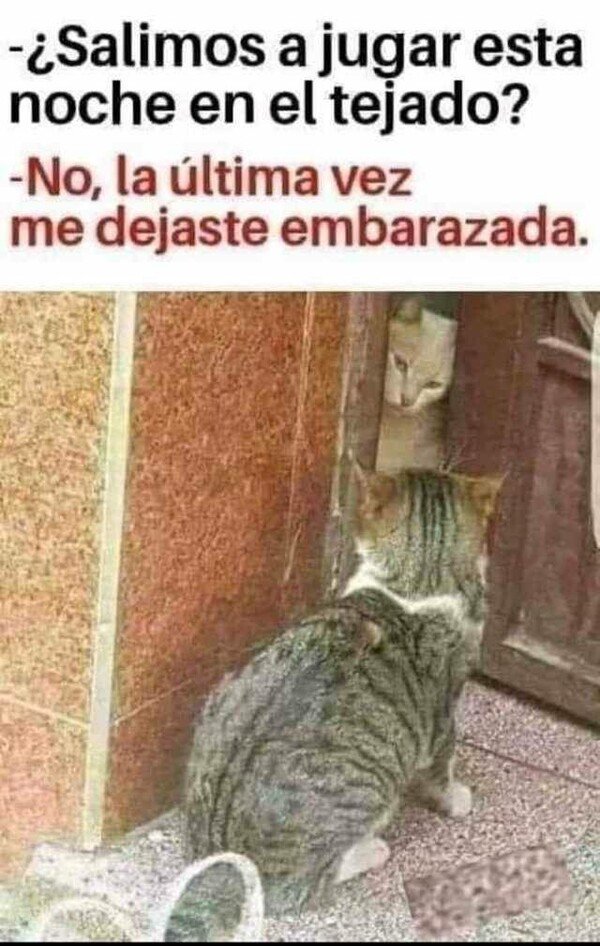 Meme_otros - Una relación muy traviesa