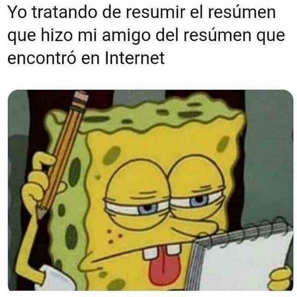 Meme_otros - Llegará un punto en el que ya no se podrá resumir más