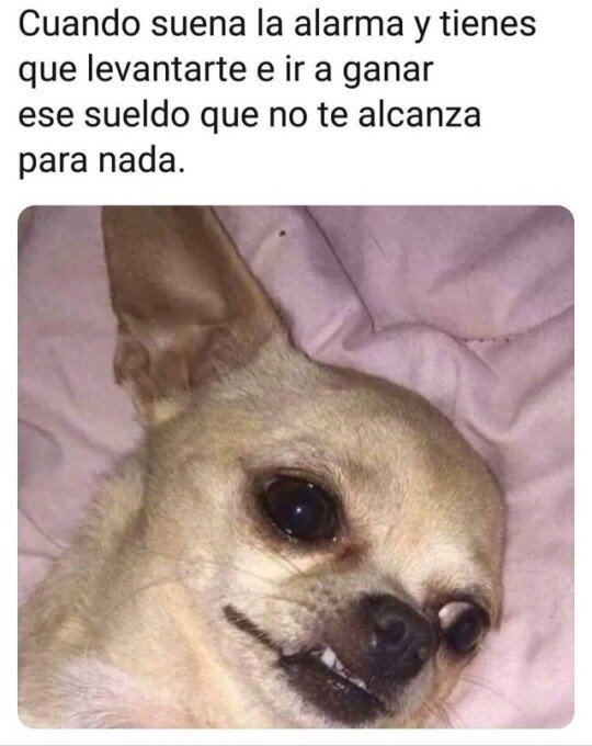 Meme_otros - Necesito ya un aumento de sueldo