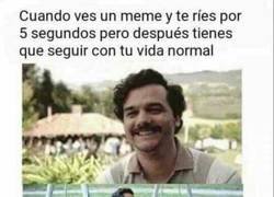 Enlace a El drama tras disfrutar de los memes