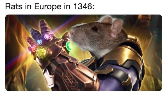 Meme_otros - Las ratas dominaron el mundo antes