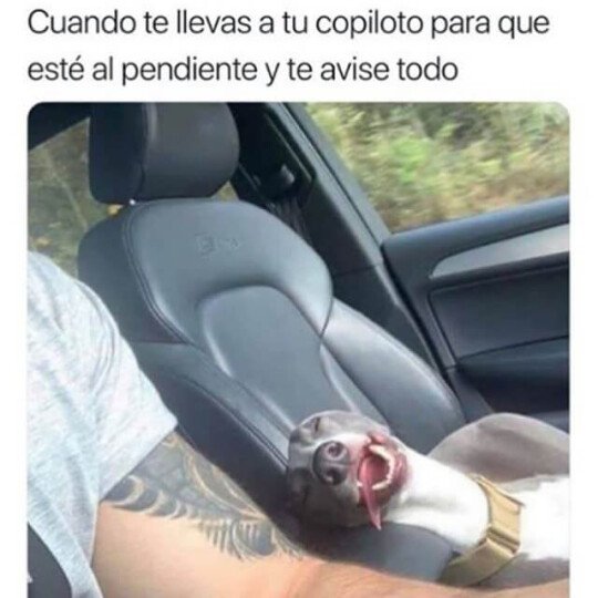 Meme_otros - El ser más inútil que existe