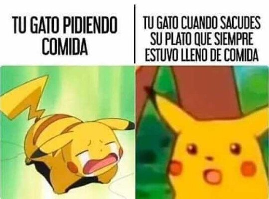 Meme_otros - ¿A qué juegas gato?
