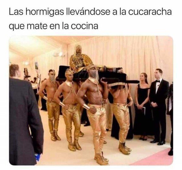 Meme_otros - Una escena digna de ver