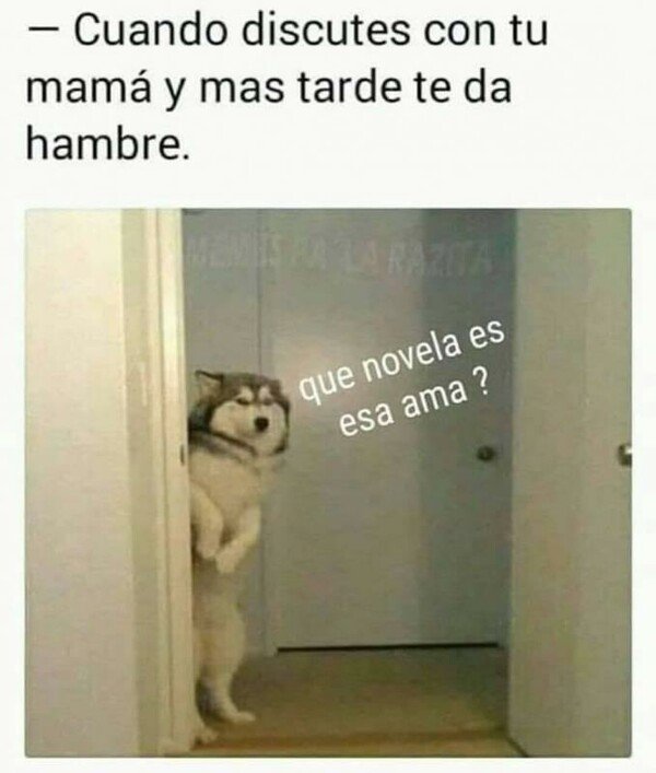 Meme_otros - Una bonita forma de empezar a hablar