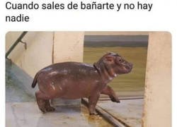 Enlace a Placer adulto...