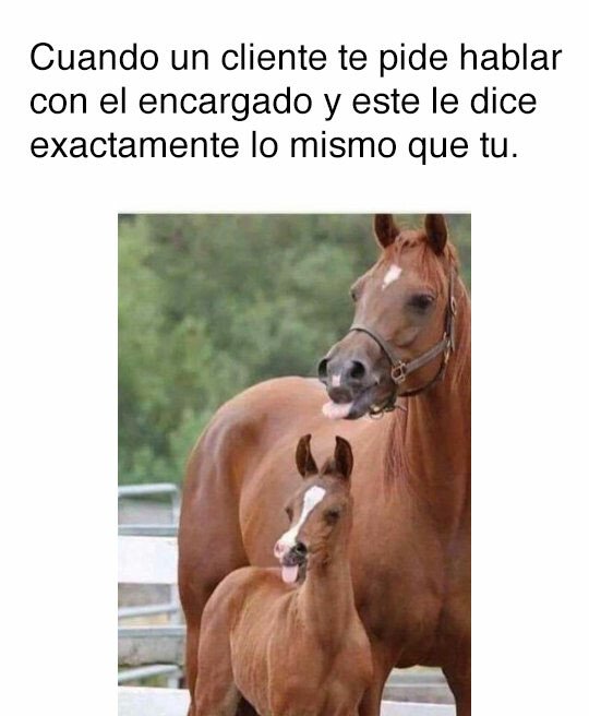 Meme_otros - Un grano en el culo