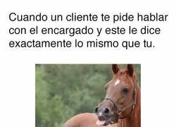 Enlace a Un grano en el culo