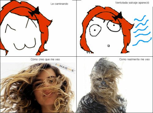 Meme_otros - Expectativa vs realidad