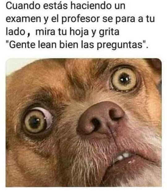 Meme_otros - Seguro que ya la he liado