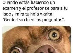 Enlace a Seguro que ya la he liado