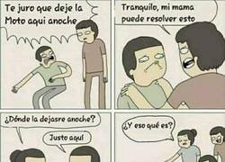 Enlace a No tengo una madre, tengo un sabueso