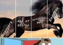 Enlace a Siempre hay un primo tonto