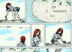 Enlace a La dura vida de la programación