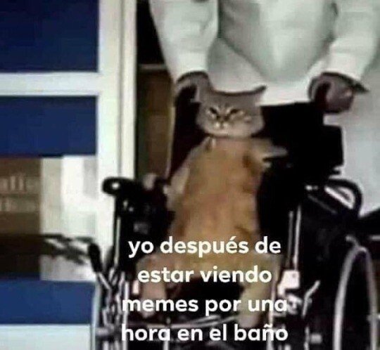 Meme_otros - Me quedé paralítico