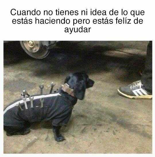 Meme_otros - Lo importante es participar