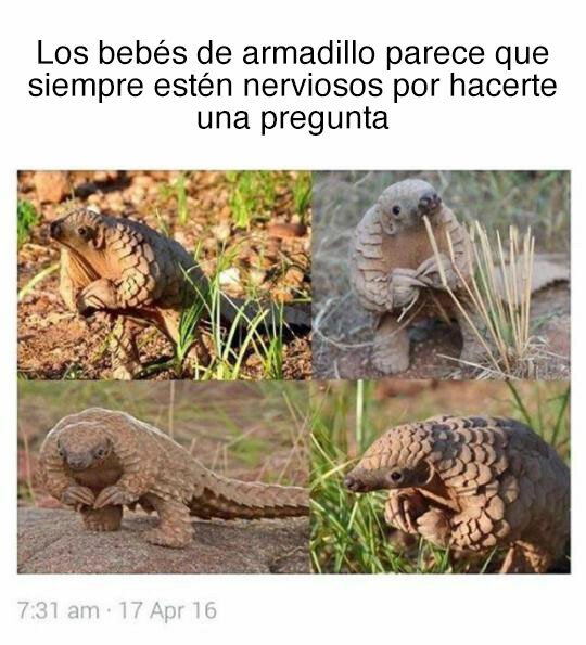 Meme_otros - ¿Quieres ir al baile conmigo?