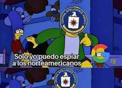 Enlace a Amurrika tiene derecho