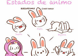 Enlace a La evolución de los estados de ánimo