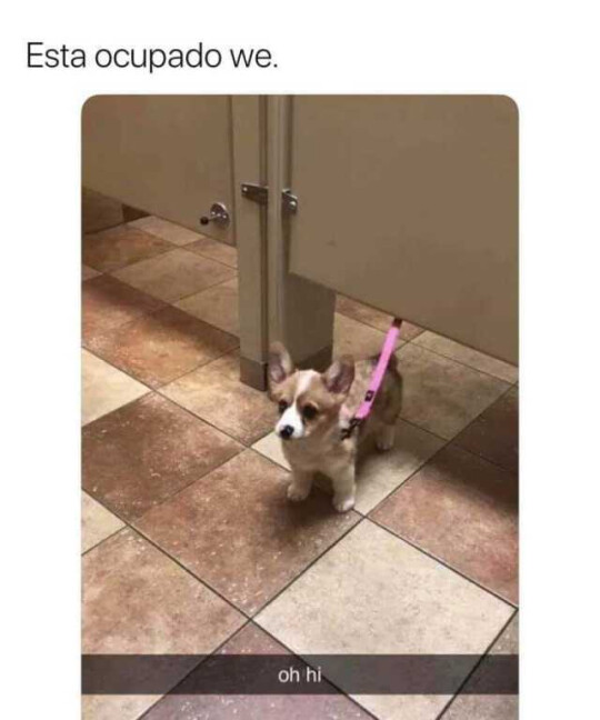 Meme_otros - El mejor vigilante de lavabo del mundo