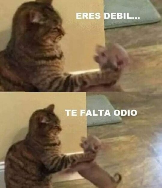 Meme_otros - Subete el odio un par de puntitos