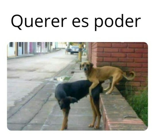 Meme_otros - Puedes si crees que puedes