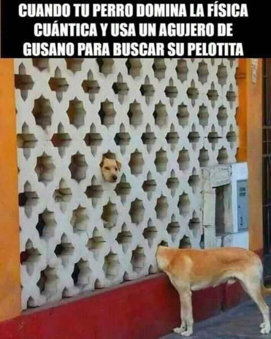 Meme_otros - Llevarlo al siguiente nivel