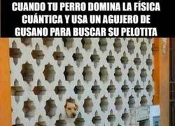 Enlace a Llevarlo al siguiente nivel