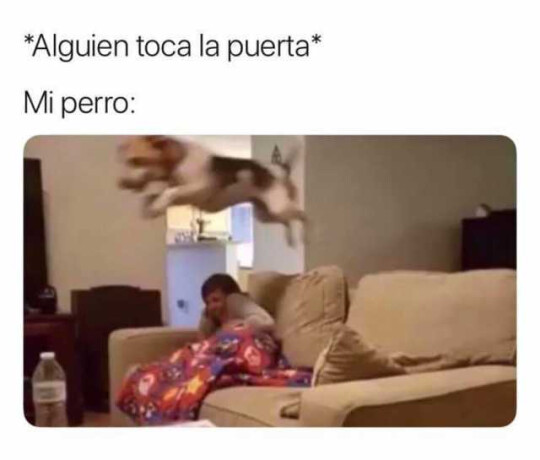 Meme_otros - Un día de estos tengo que enseñarle a abrir la puerta